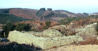 fanum des Jaillants à Pradines